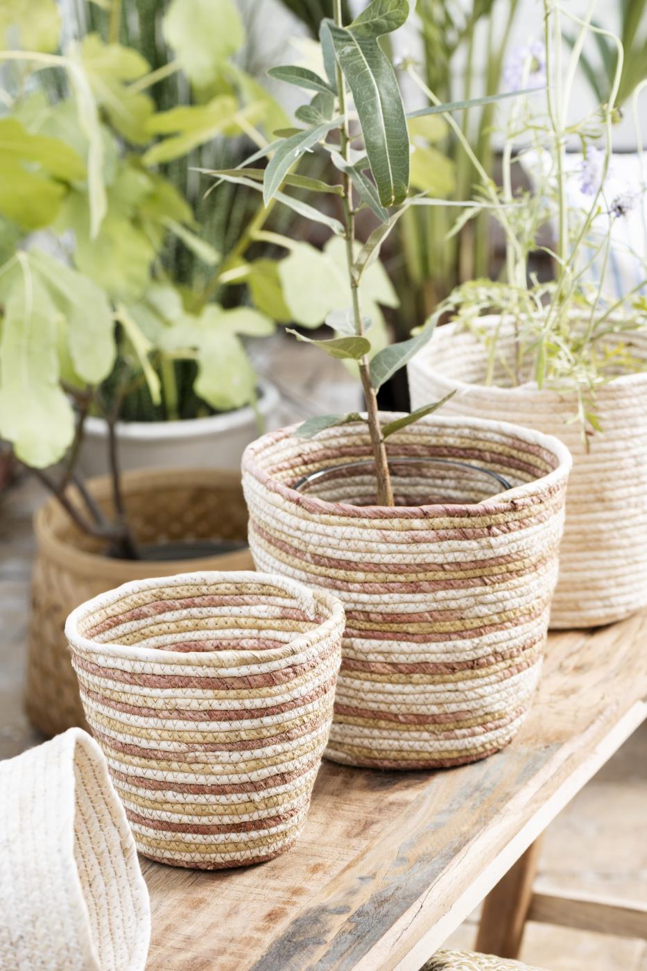 Trebenk Rustikk - 120cm