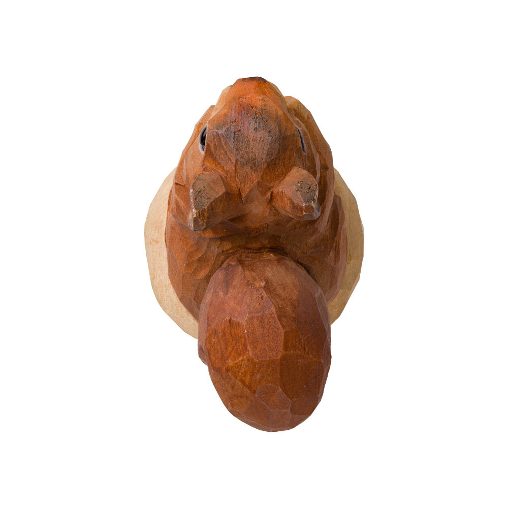 Dekorativ Flaskepropp Ekorn