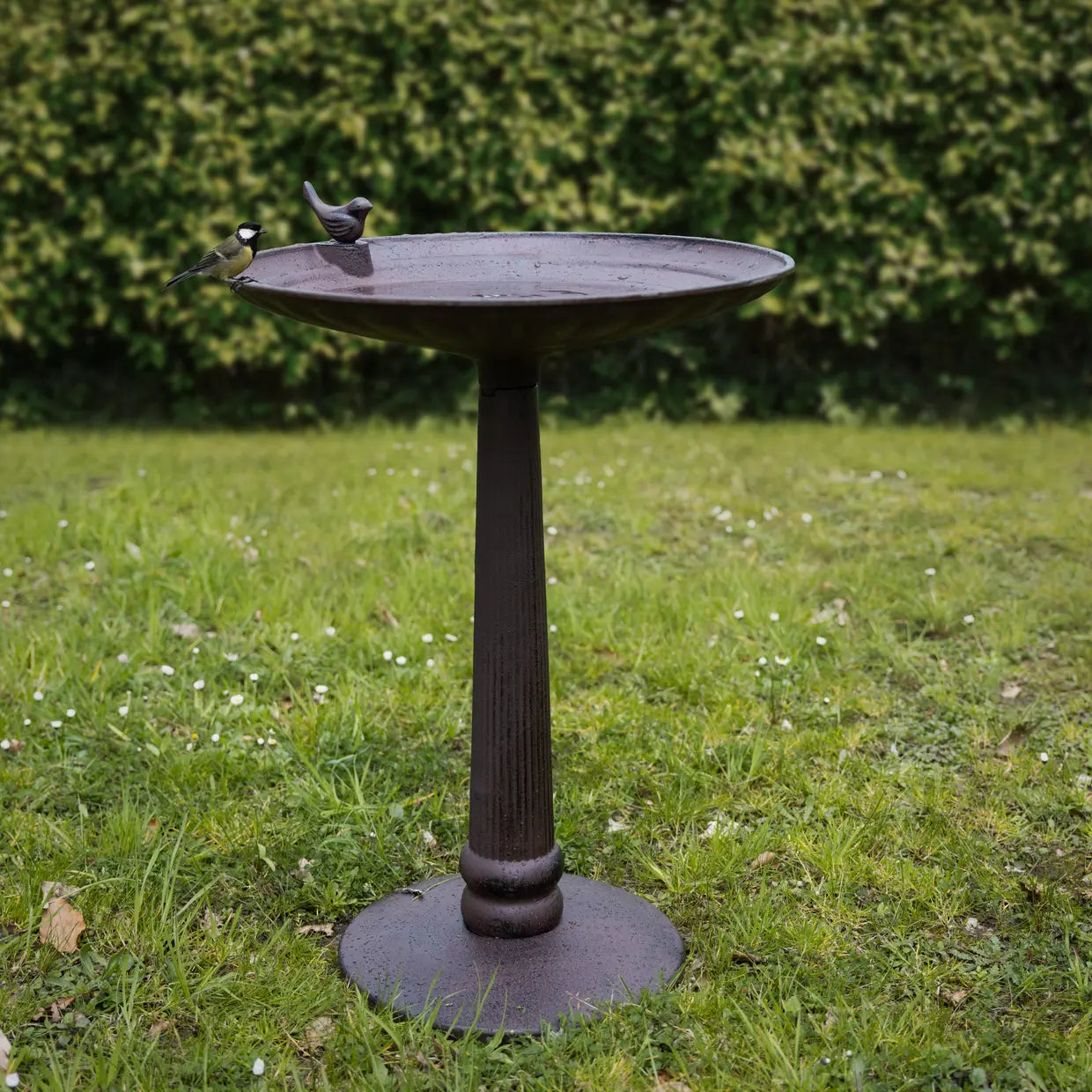 stort fuglebad på fot - laget av støpejern