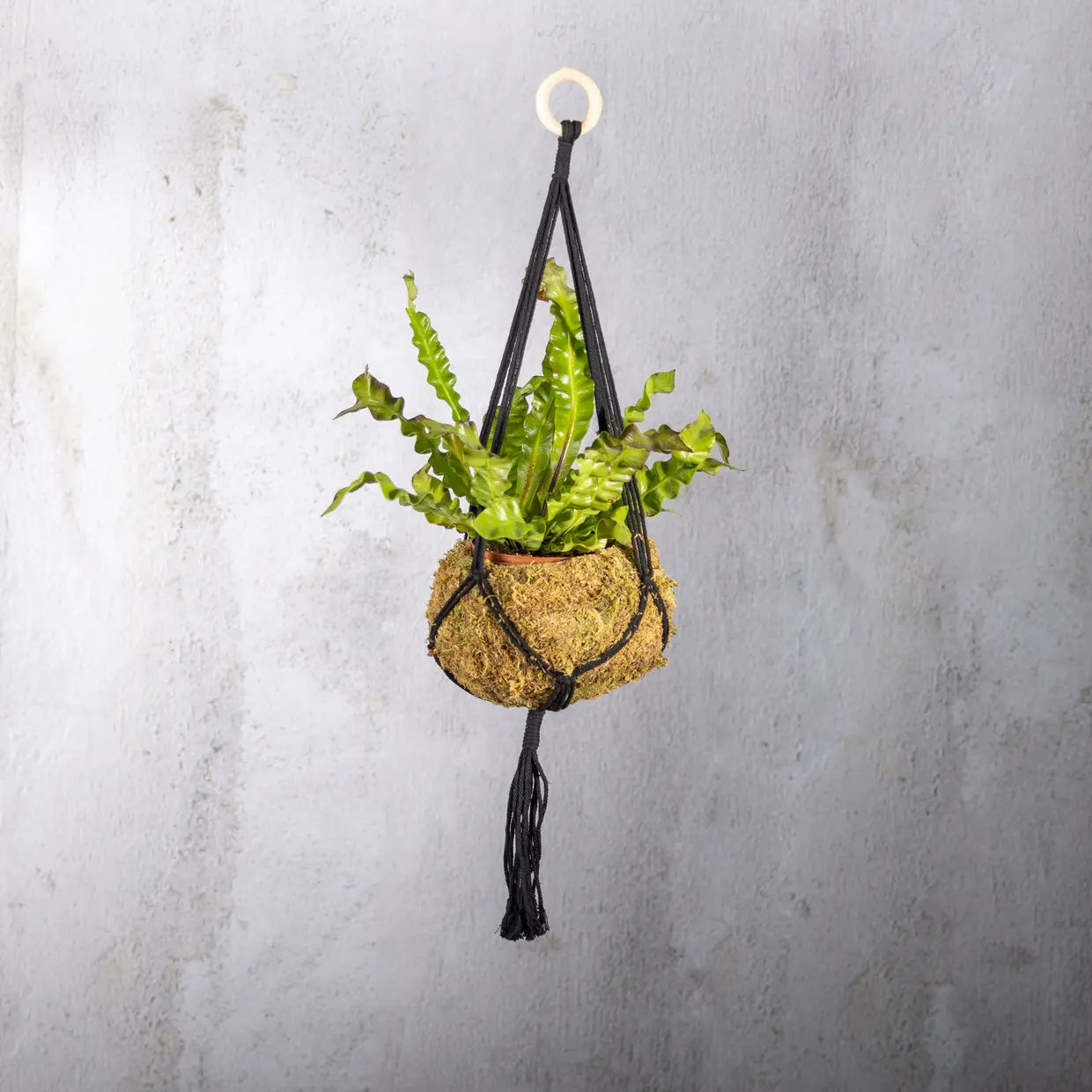 svart makrame oppheng til potter og planter