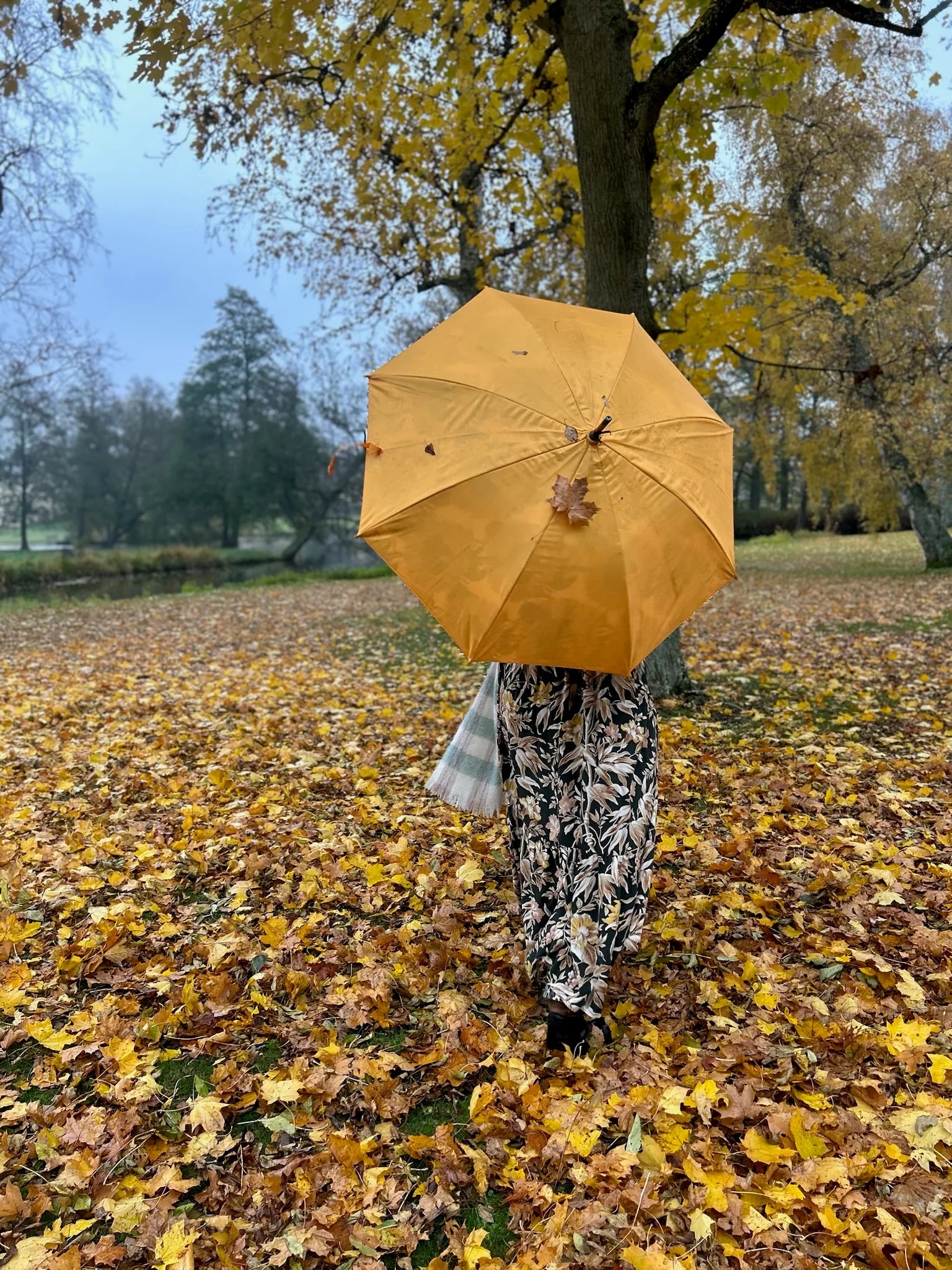paraply gult solsikke blomst