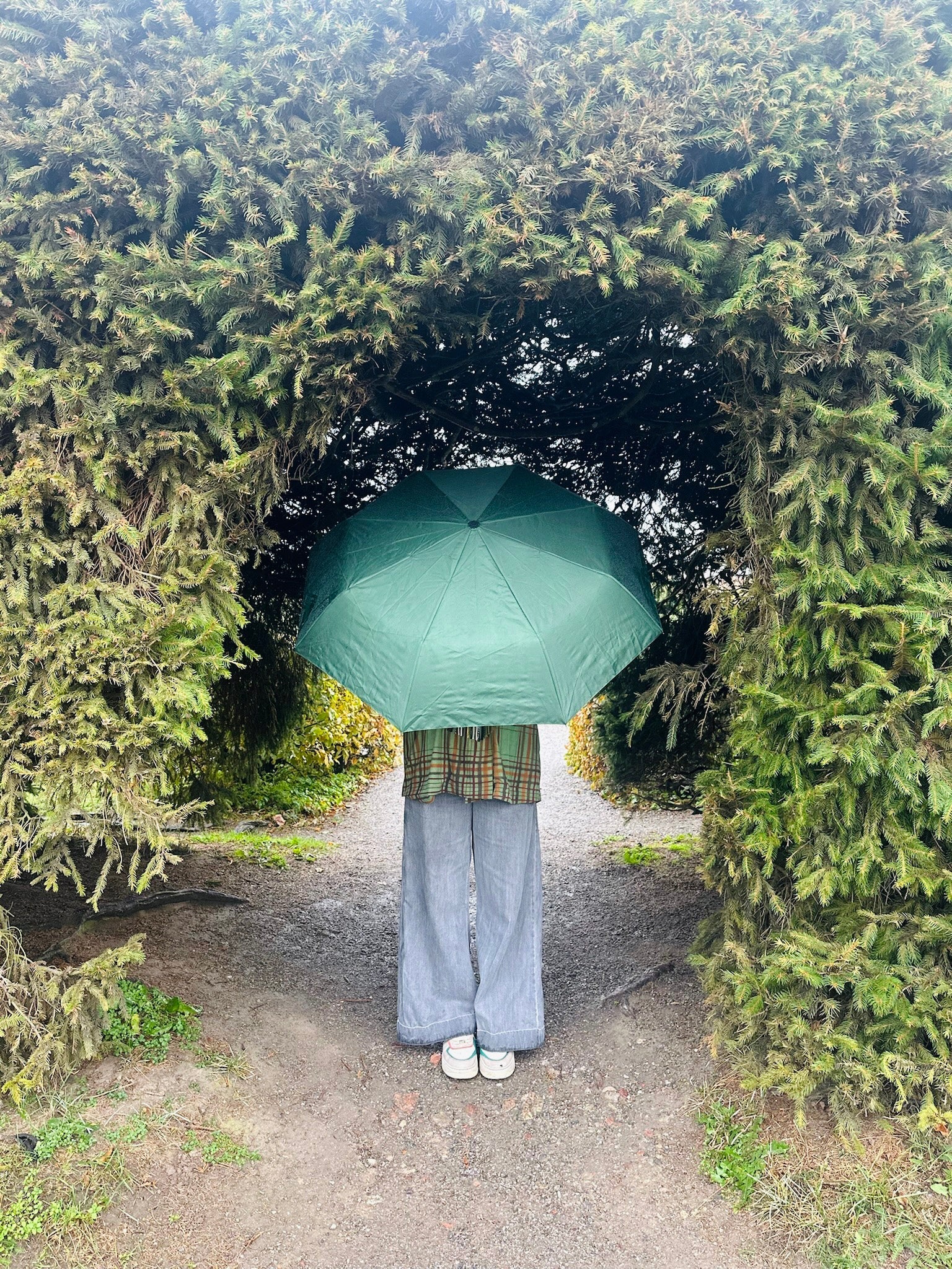 paraply Monchiqe blader frosk