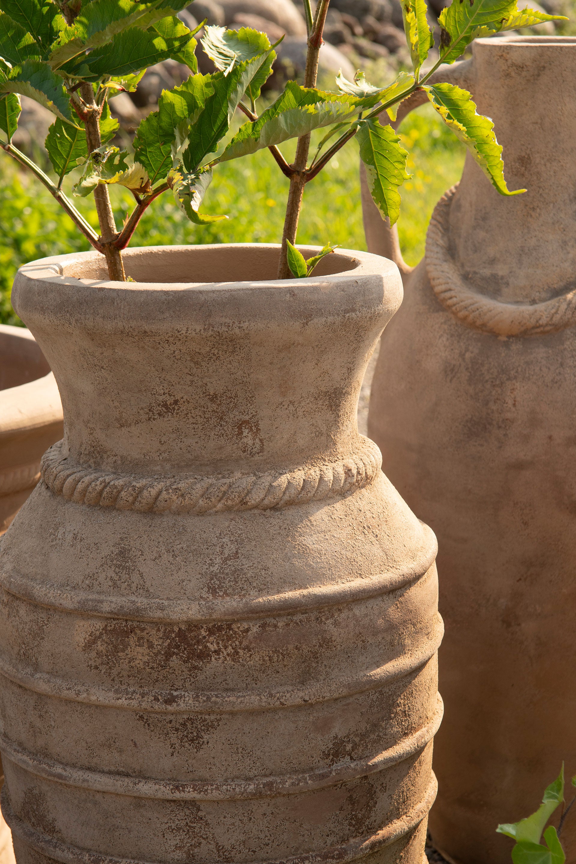 stor og klassisk urne av terrakotta