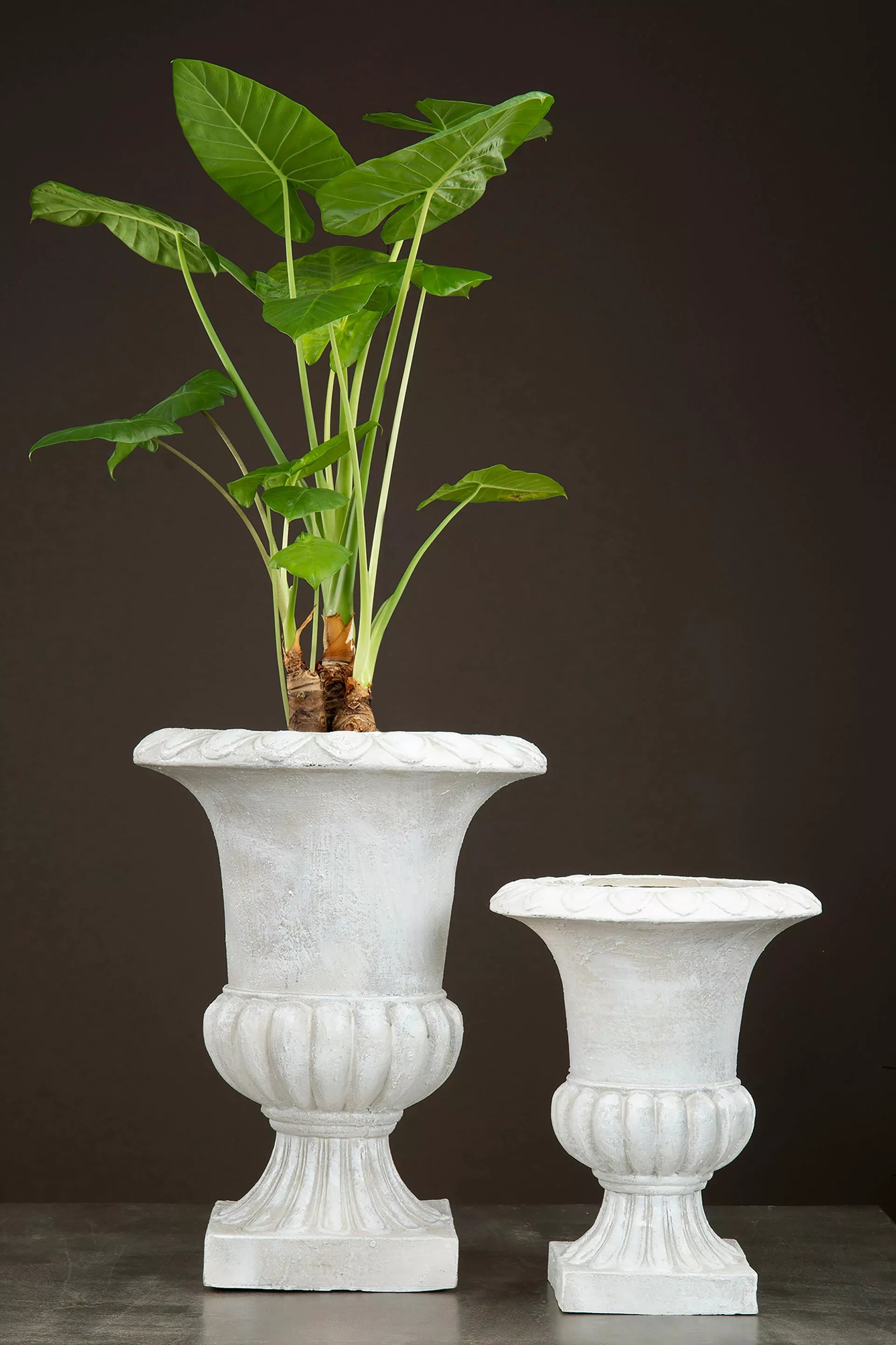 stor potte urne pokal hvit ute dør antikk alot 101259 nettbutikk