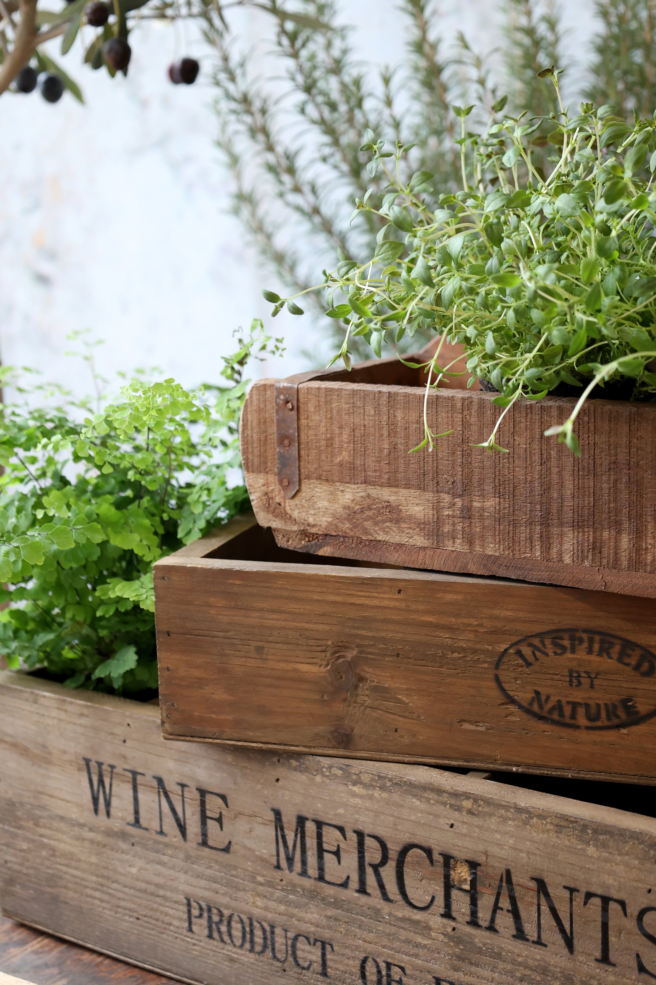 Trekasse m/4 Rom - 27x40cm