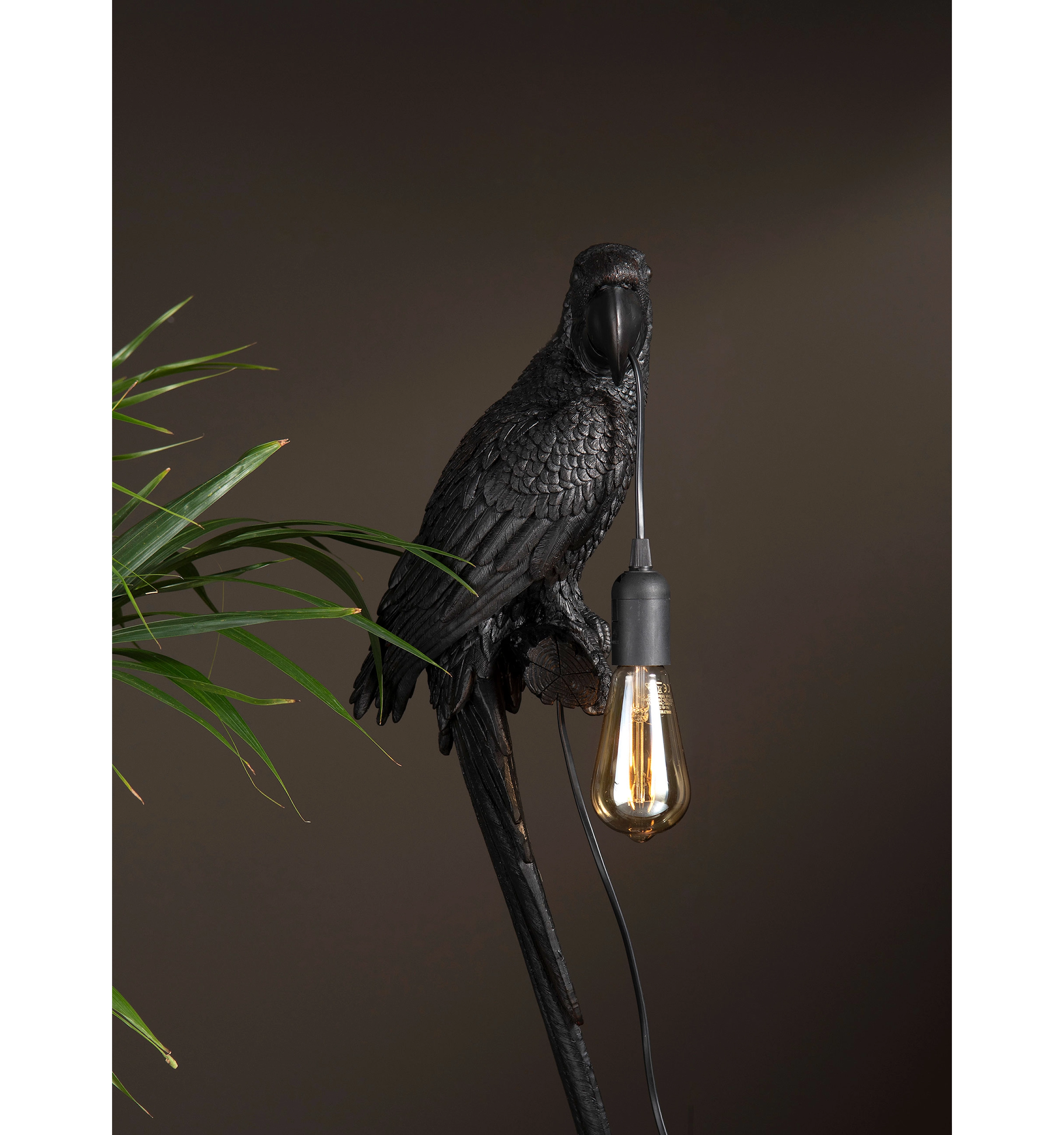lampe papegøye