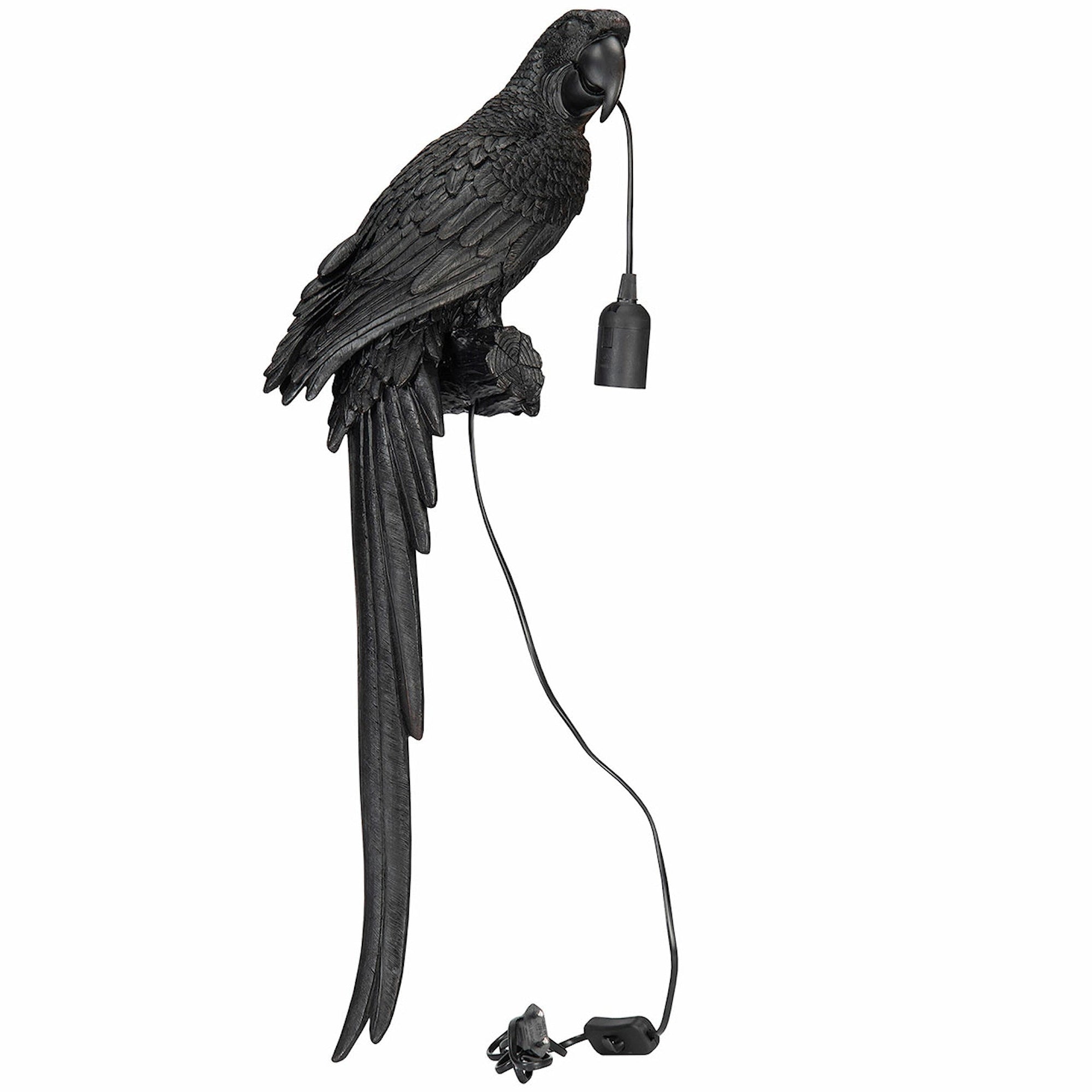 vegglampe svart papegøye