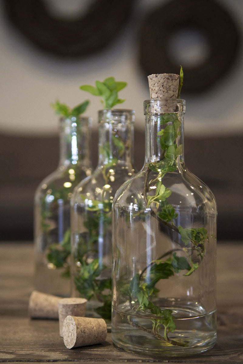 apoterkerglass liten glassflaske vase