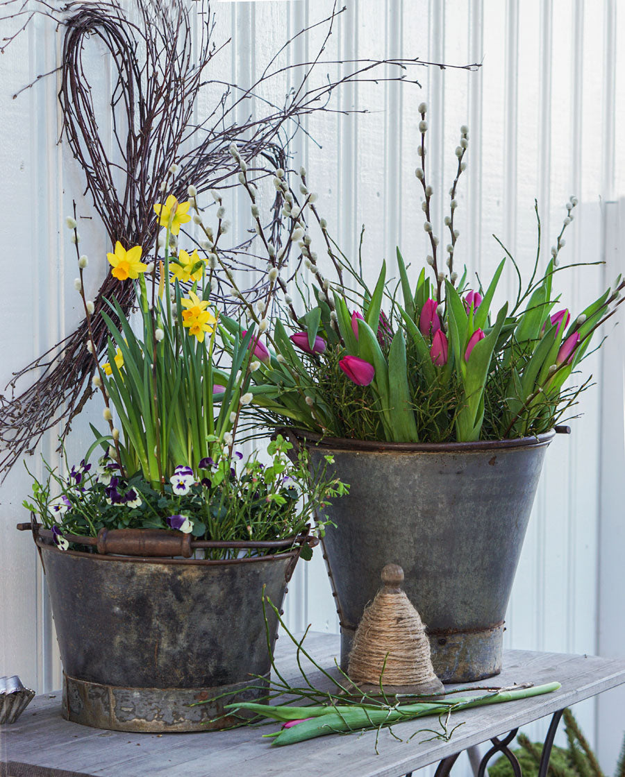 vintage-bøtte-metall-gammel-sinkbøtte-blomsterkrukke-