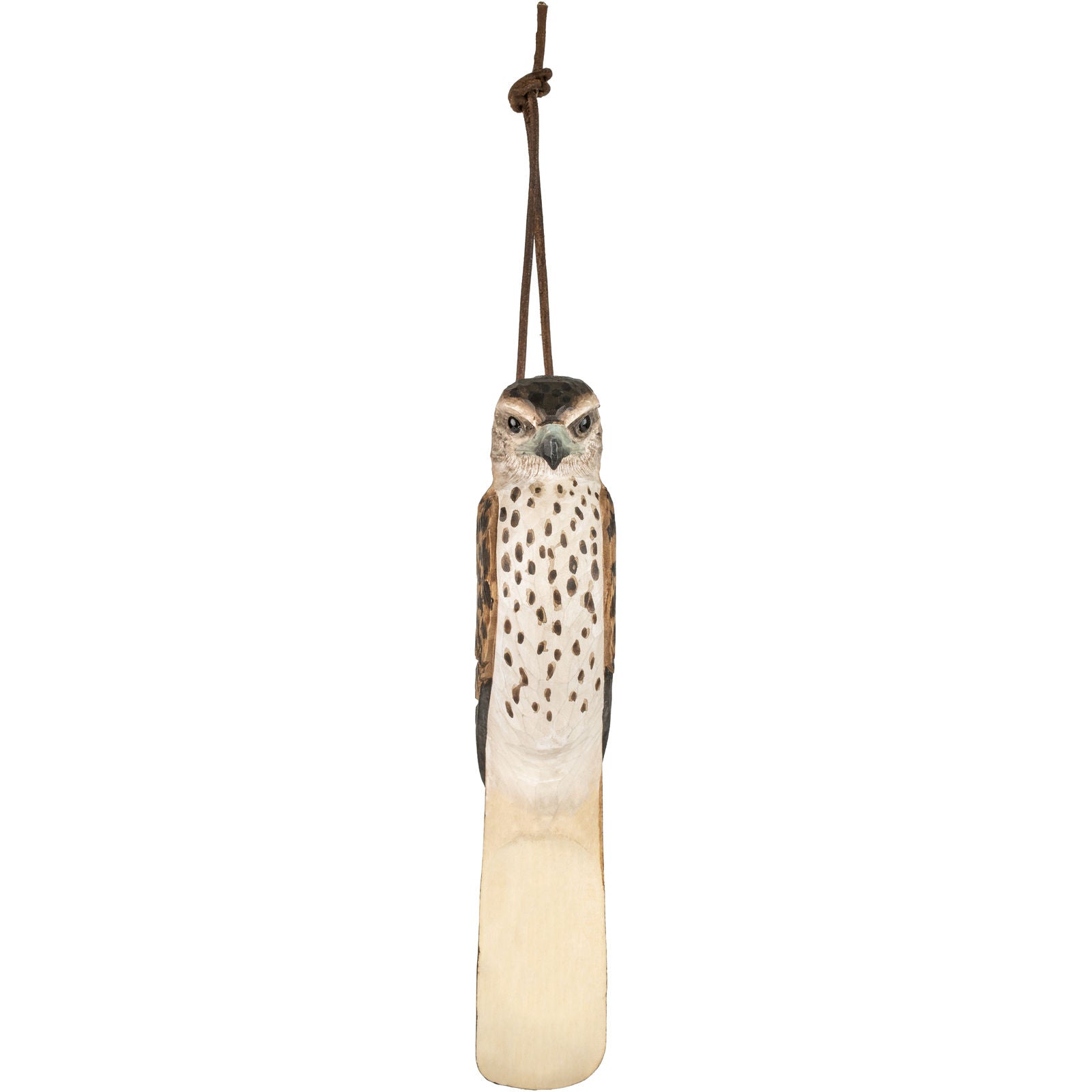 skohorn dvergfalk falk fugl wildlife garden wg4998