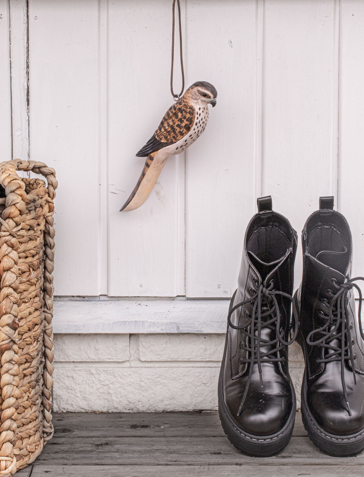 skohorn dvergfalk falk fugl wildlife garden wg4998