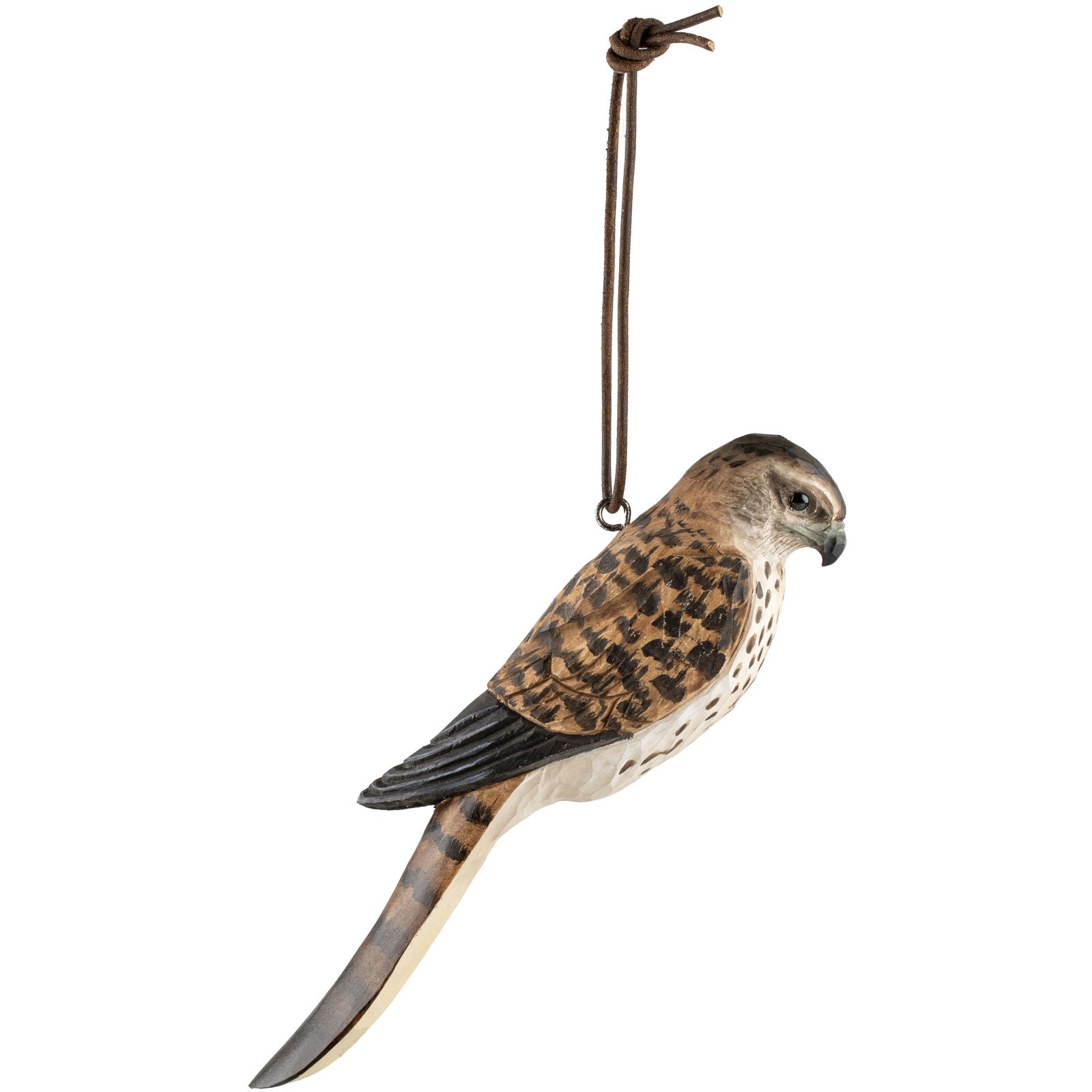 skohorn dvergfalk falk fugl wildlife garden wg4998