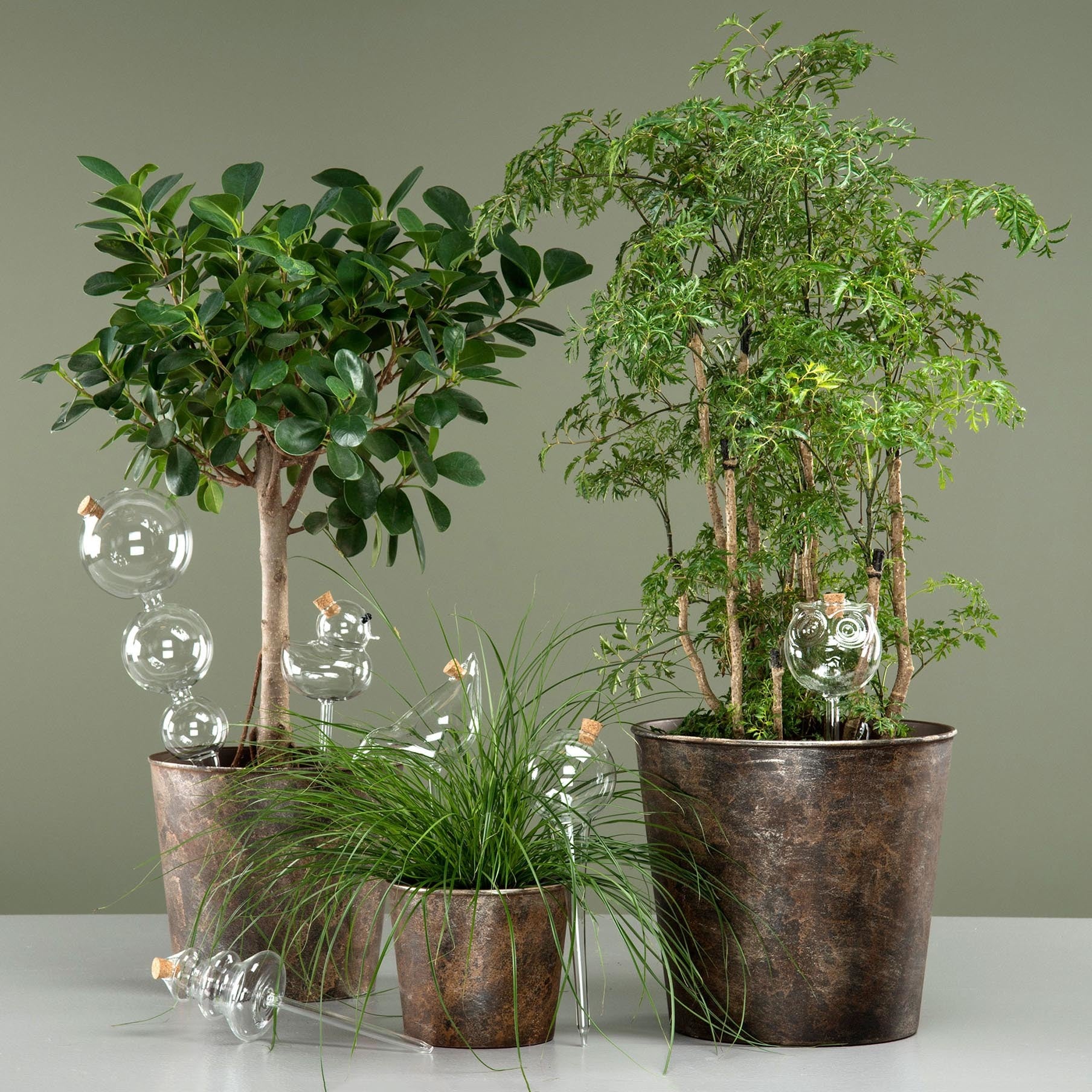 Vanningsglass / Selvvanning, Boble - 42cm