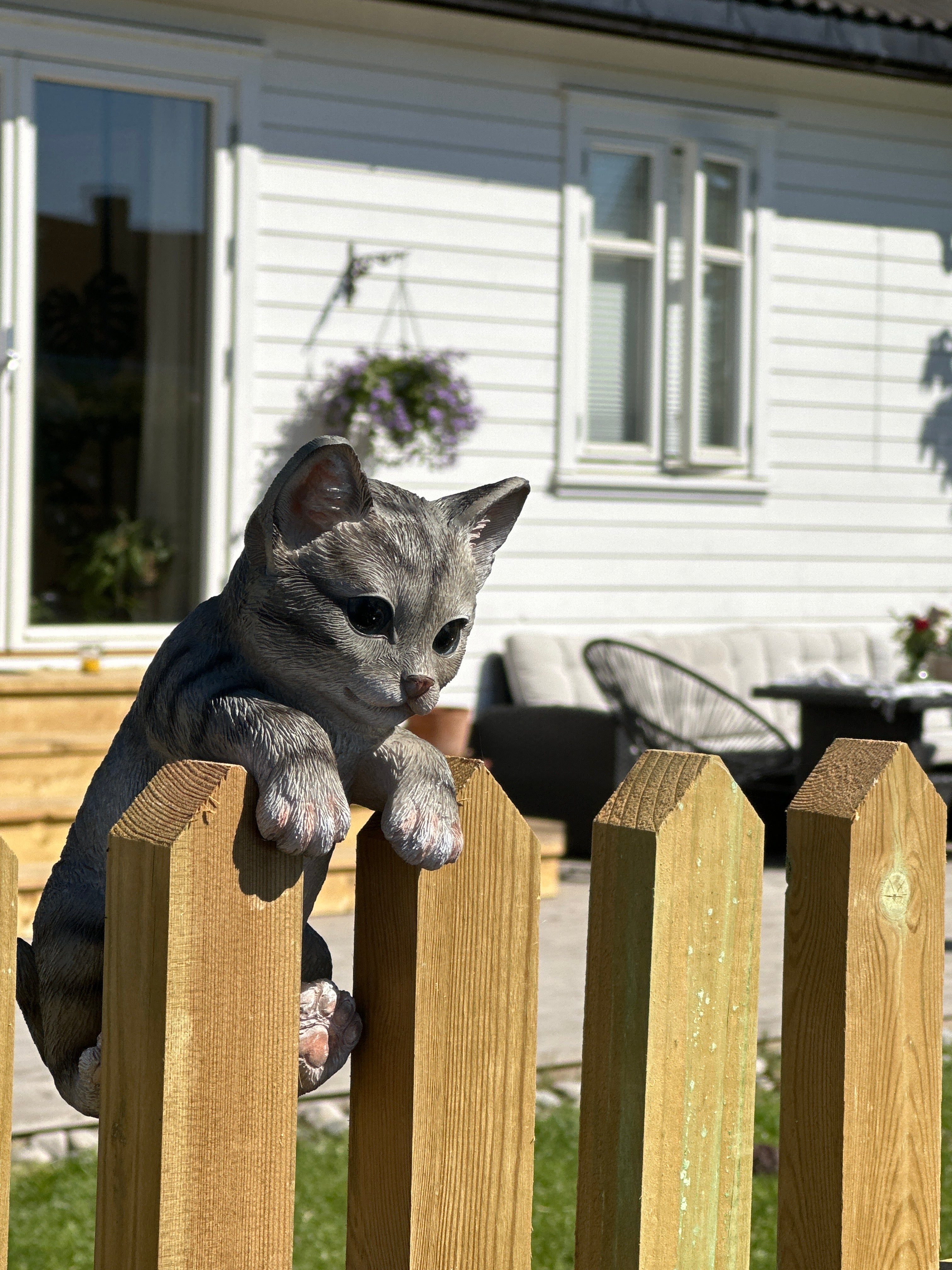 Katt, Gjerde Dekor