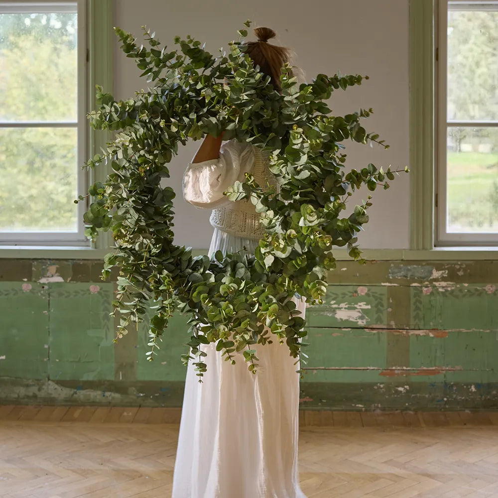 mega stor eucalyptus krans fra mrplant