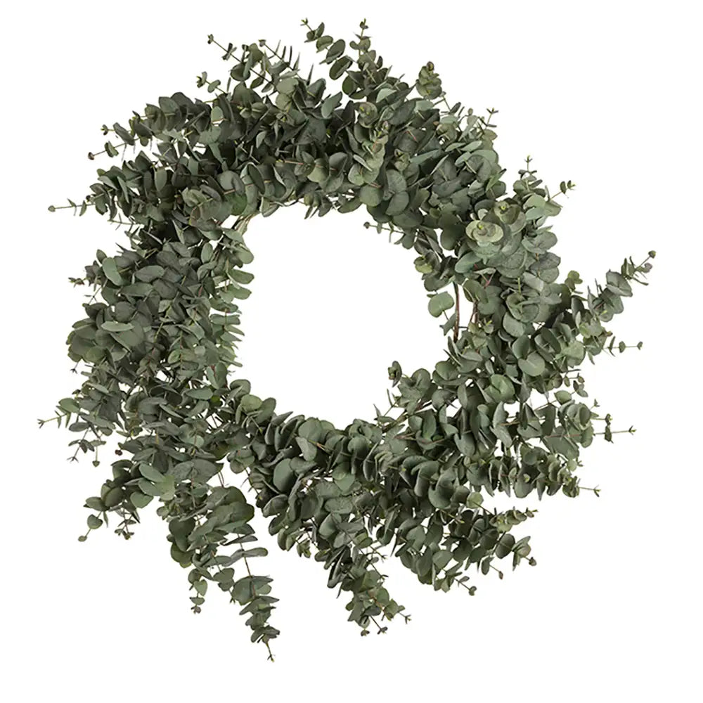 stor eucalyptus krans fra mrplant