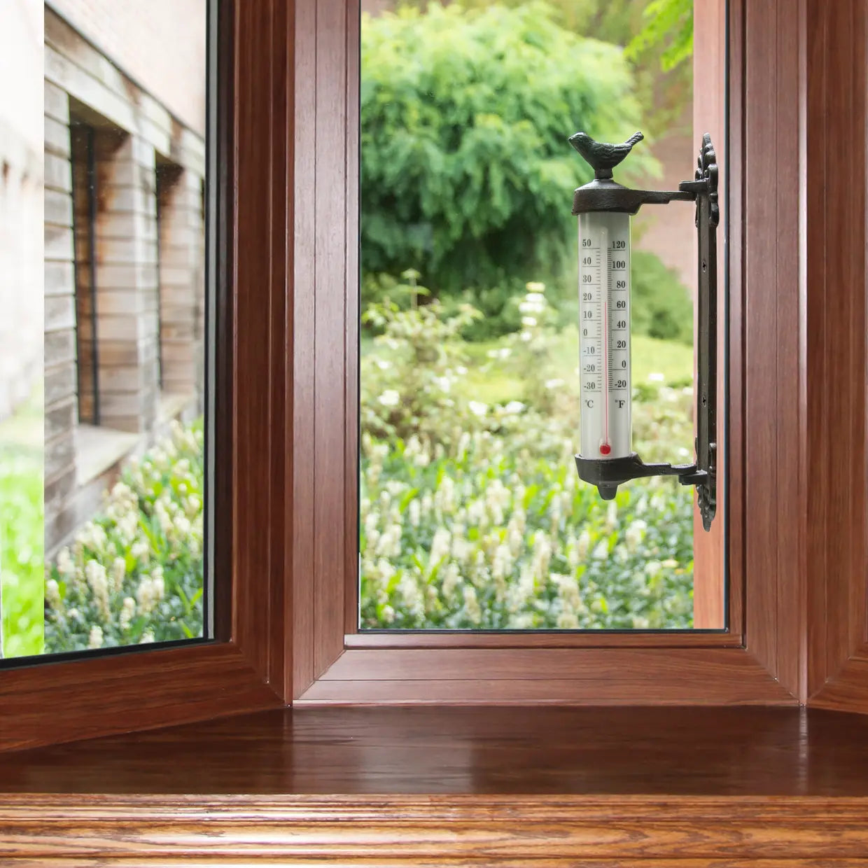 Termometer Vindu, Fugl