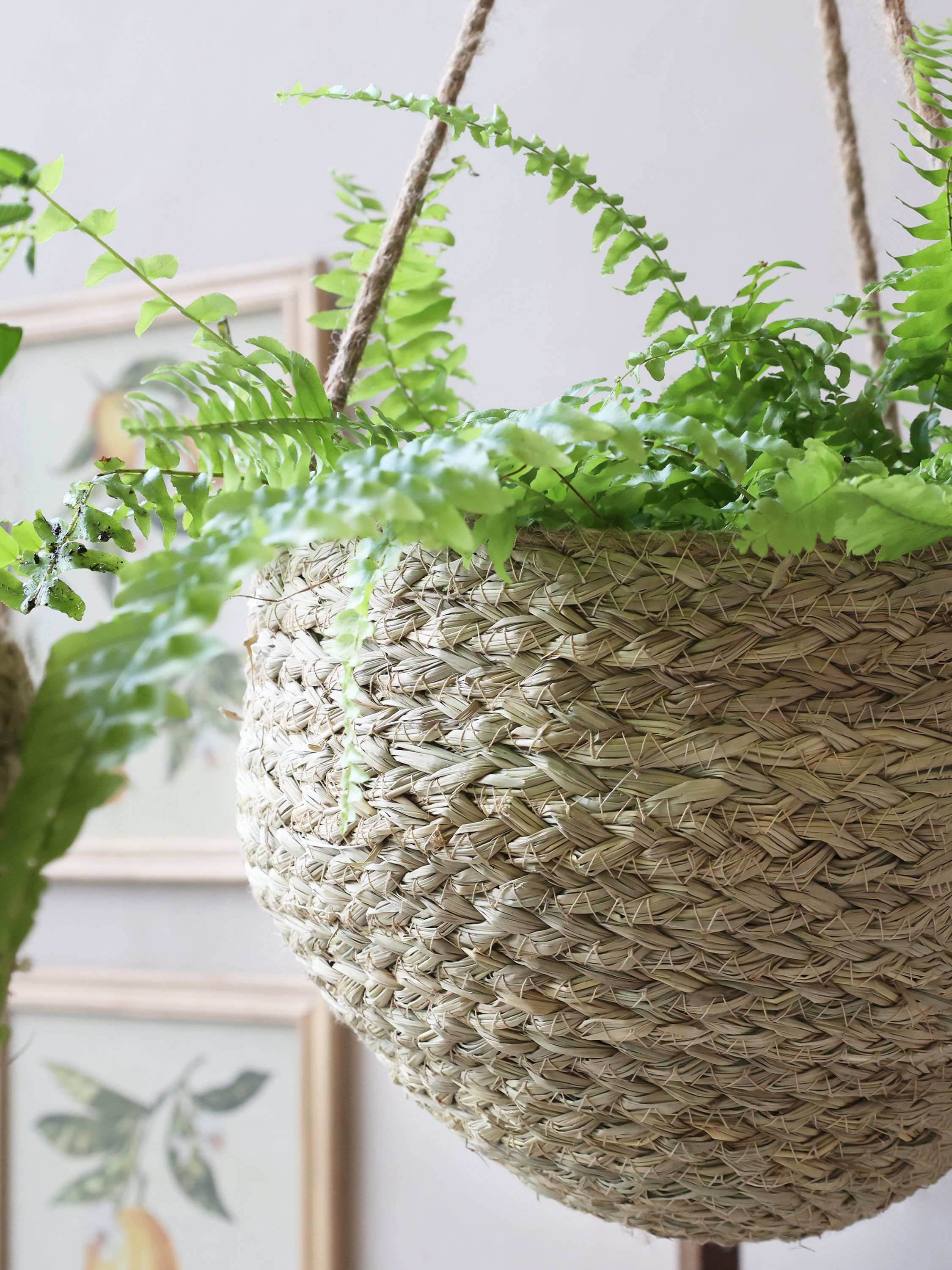 ampel / hengende kurv - laget av flettet natur materiale