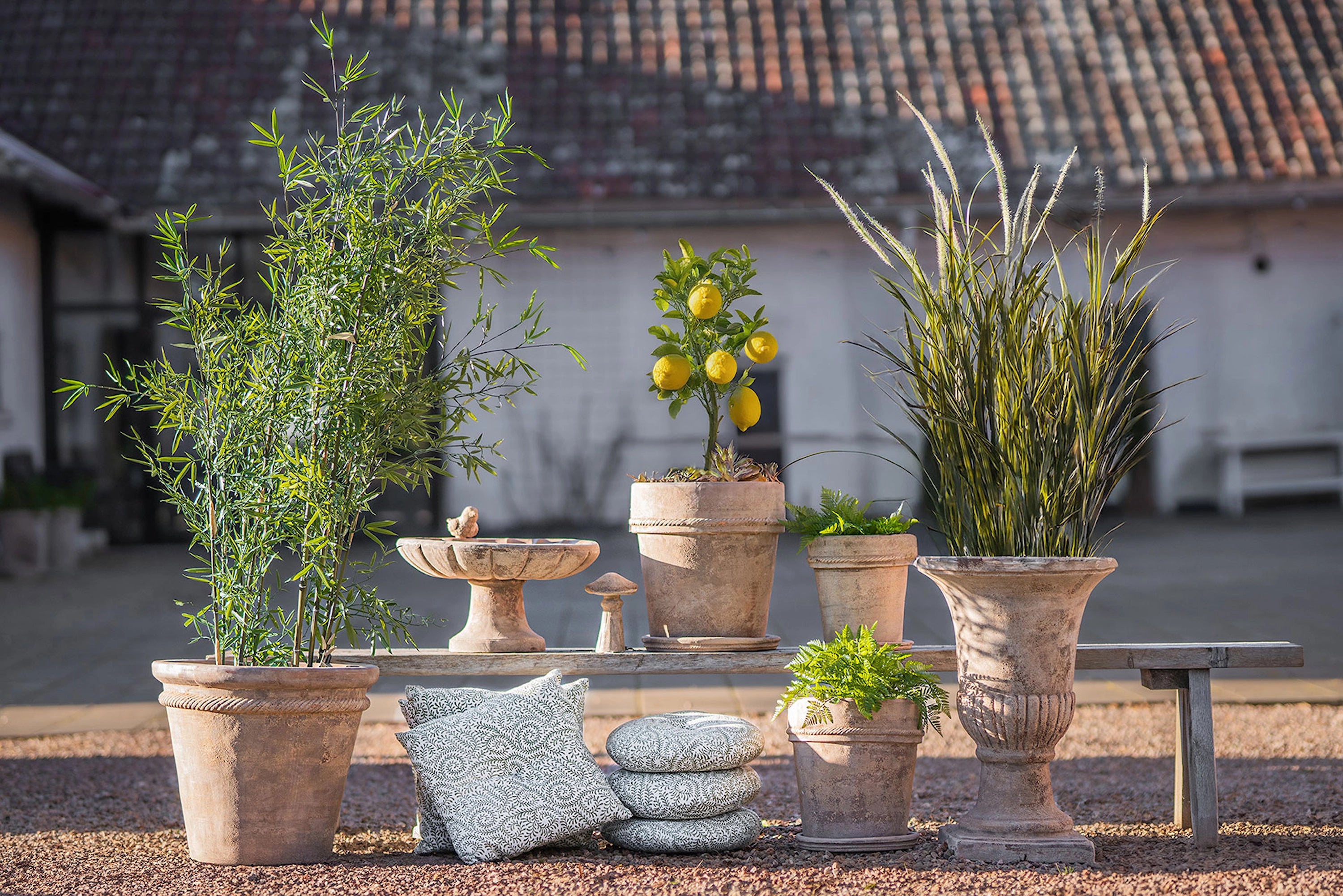 fuglebad i terrakotta - stort rustikk og dekorativt