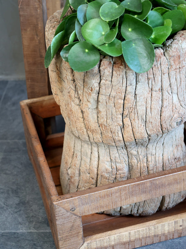 gammel trekrukke urne rustikk treverk potte blomsterpotte