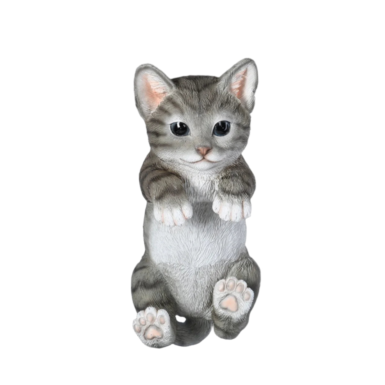 Katt, Gjerde Dekor