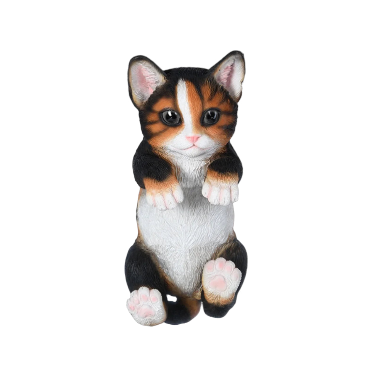 Katt, Gjerde Dekor