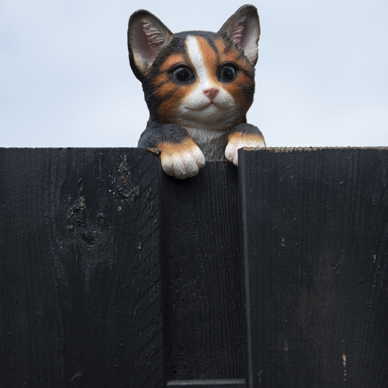 Katt, Gjerde Dekor