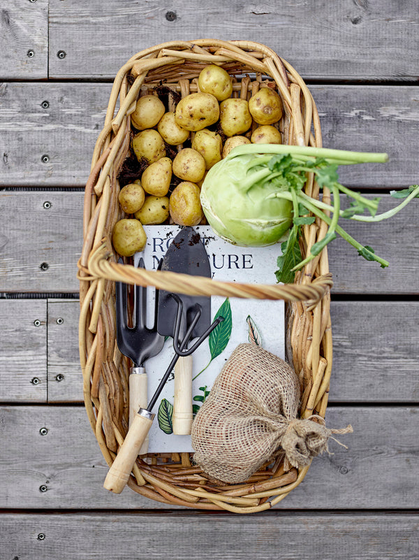 kurv hage grønnsaker poteter