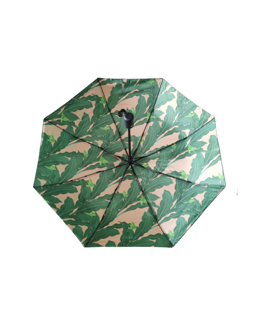 paraply Monchiqe blader frosk