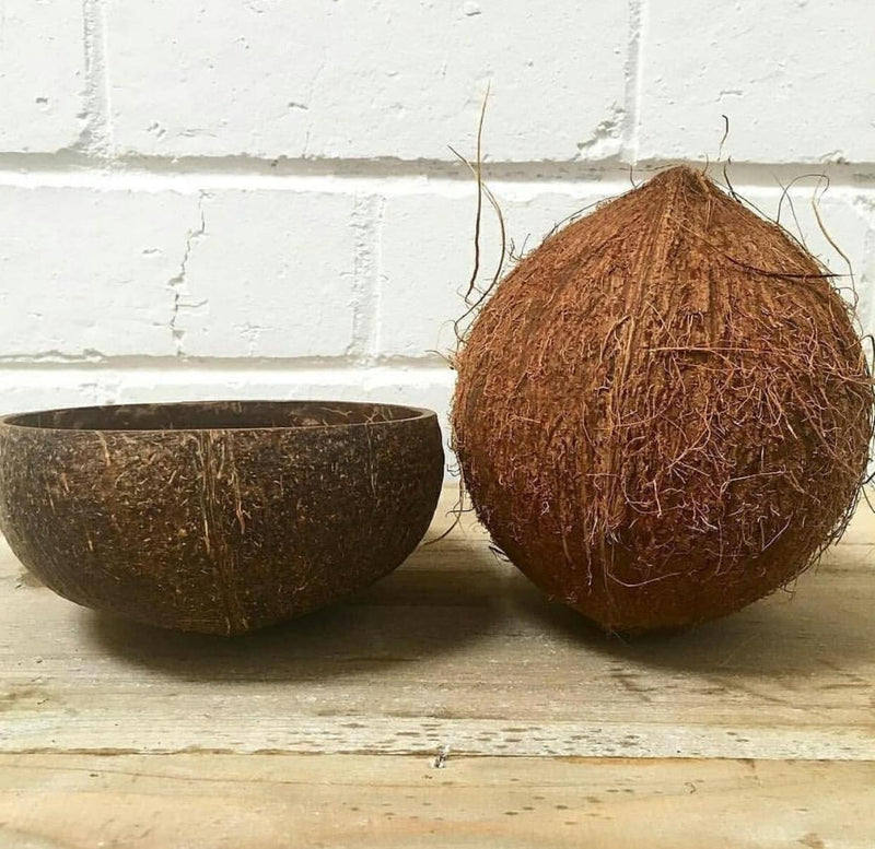 Kokosnøttskål Natur - STOR